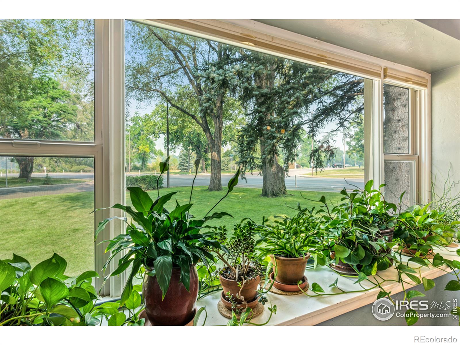 MLS Image #8 for 516  sheldon drive,fort collins, Colorado