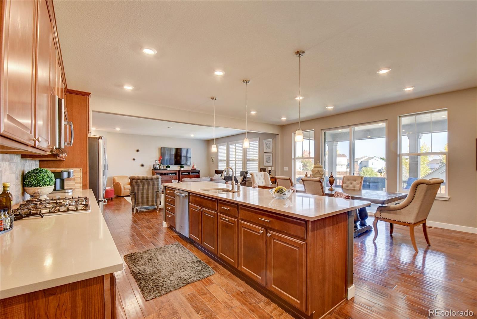 MLS Image #18 for 8730  larch trail,parker, Colorado