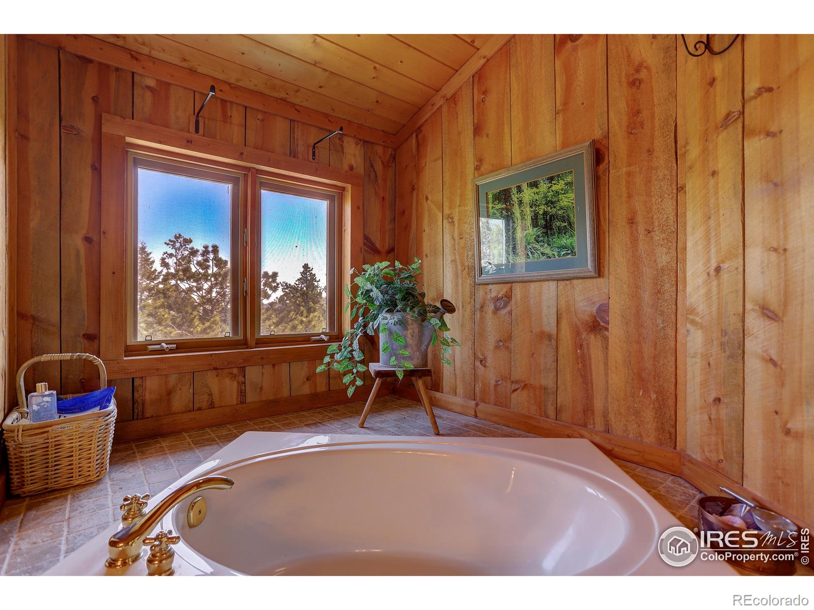 MLS Image #21 for 126  ramona road,golden, Colorado