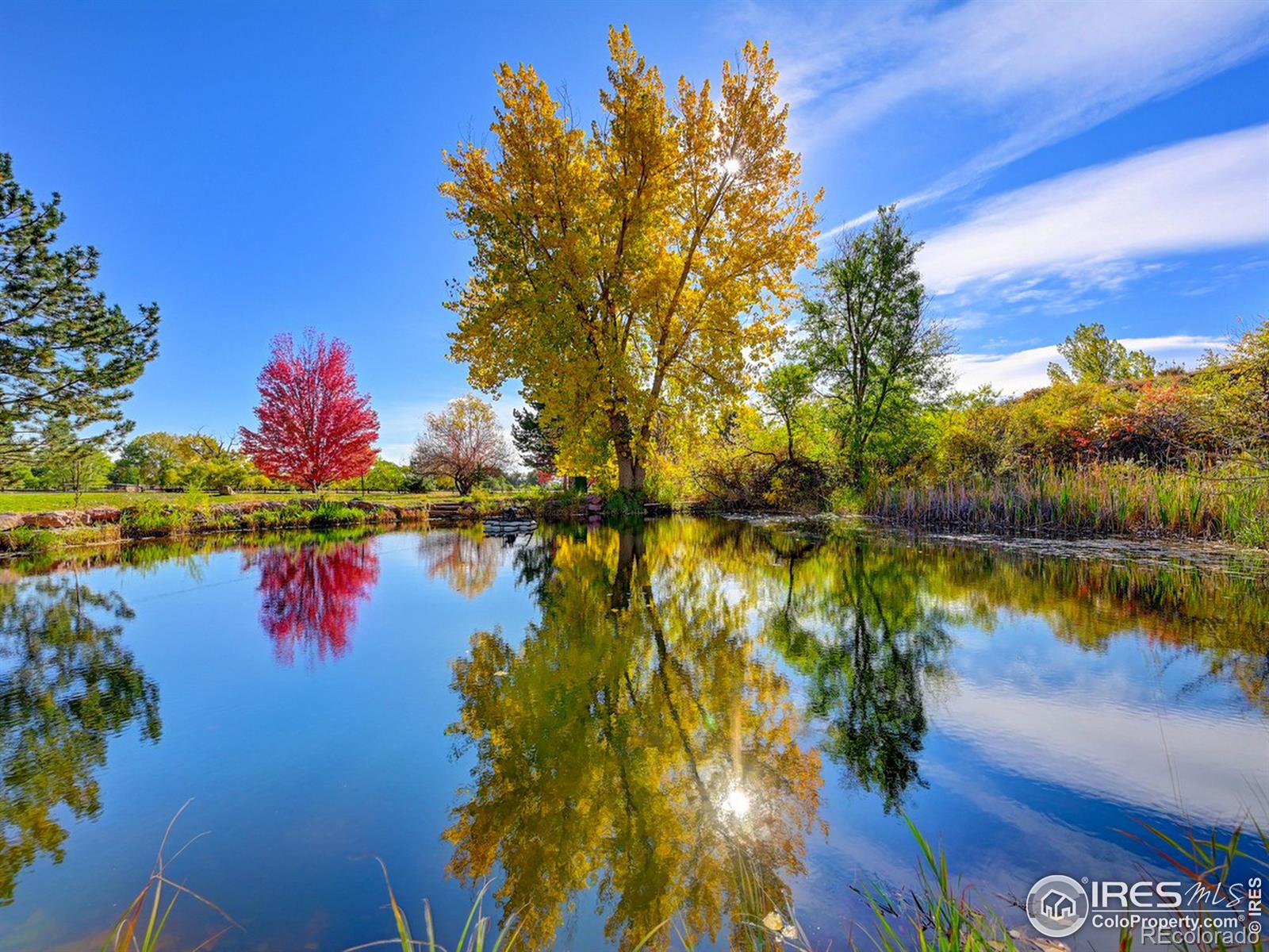 MLS Image #35 for 12800  foothills highway,longmont, Colorado