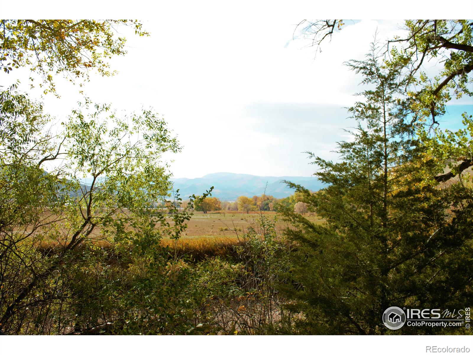 MLS Image #0 for 4615 w county road 56 ,laporte, Colorado