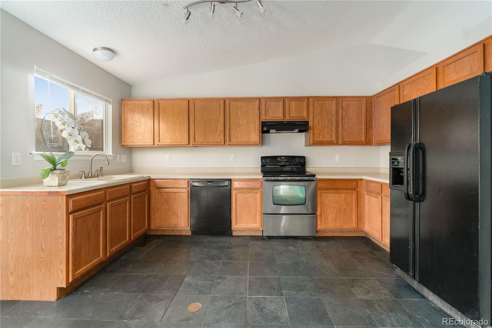MLS Image #2 for 2578  foothills canyon court,highlands ranch, Colorado