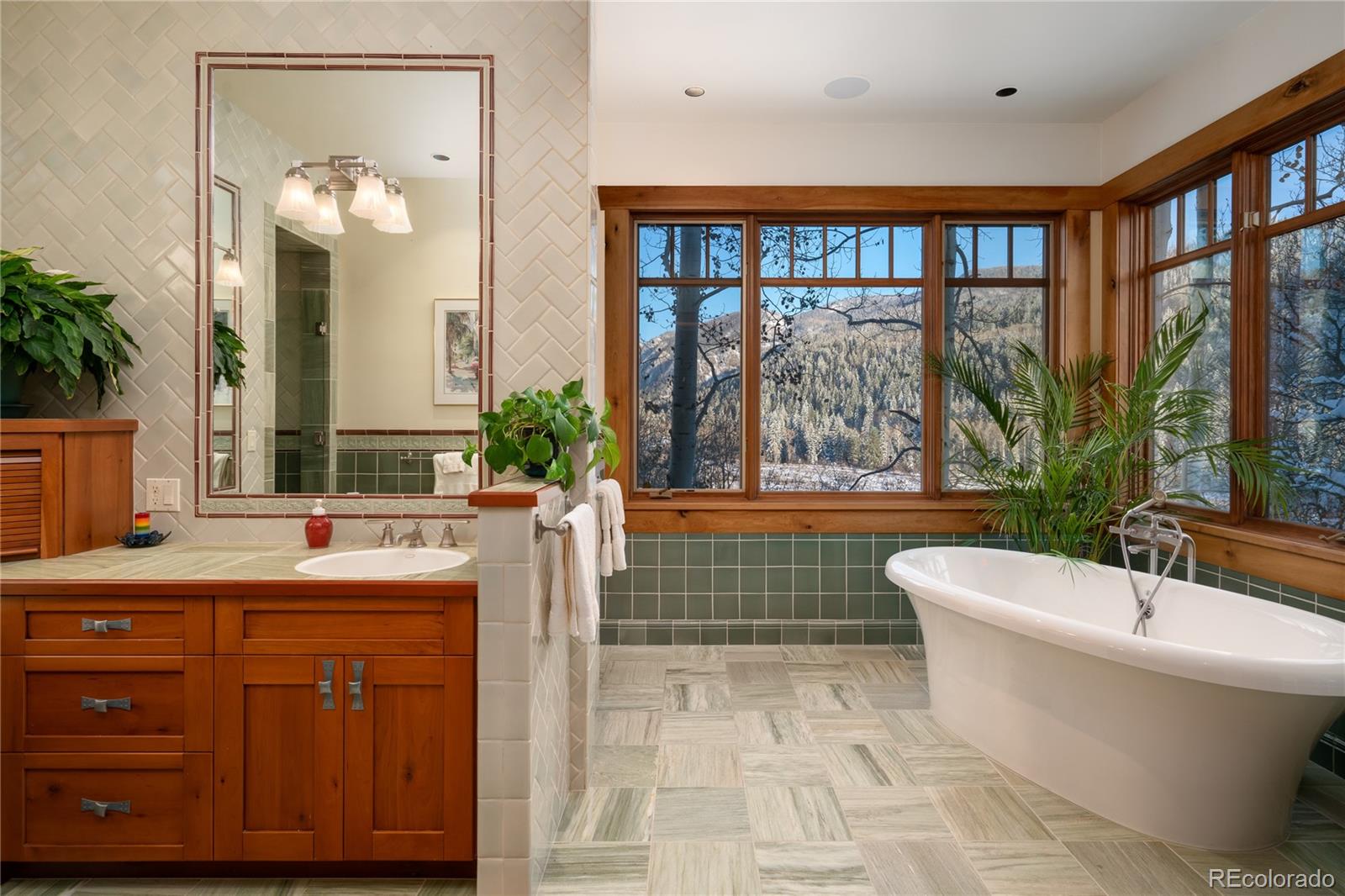 MLS Image #18 for 33855  canyon court,steamboat springs, Colorado