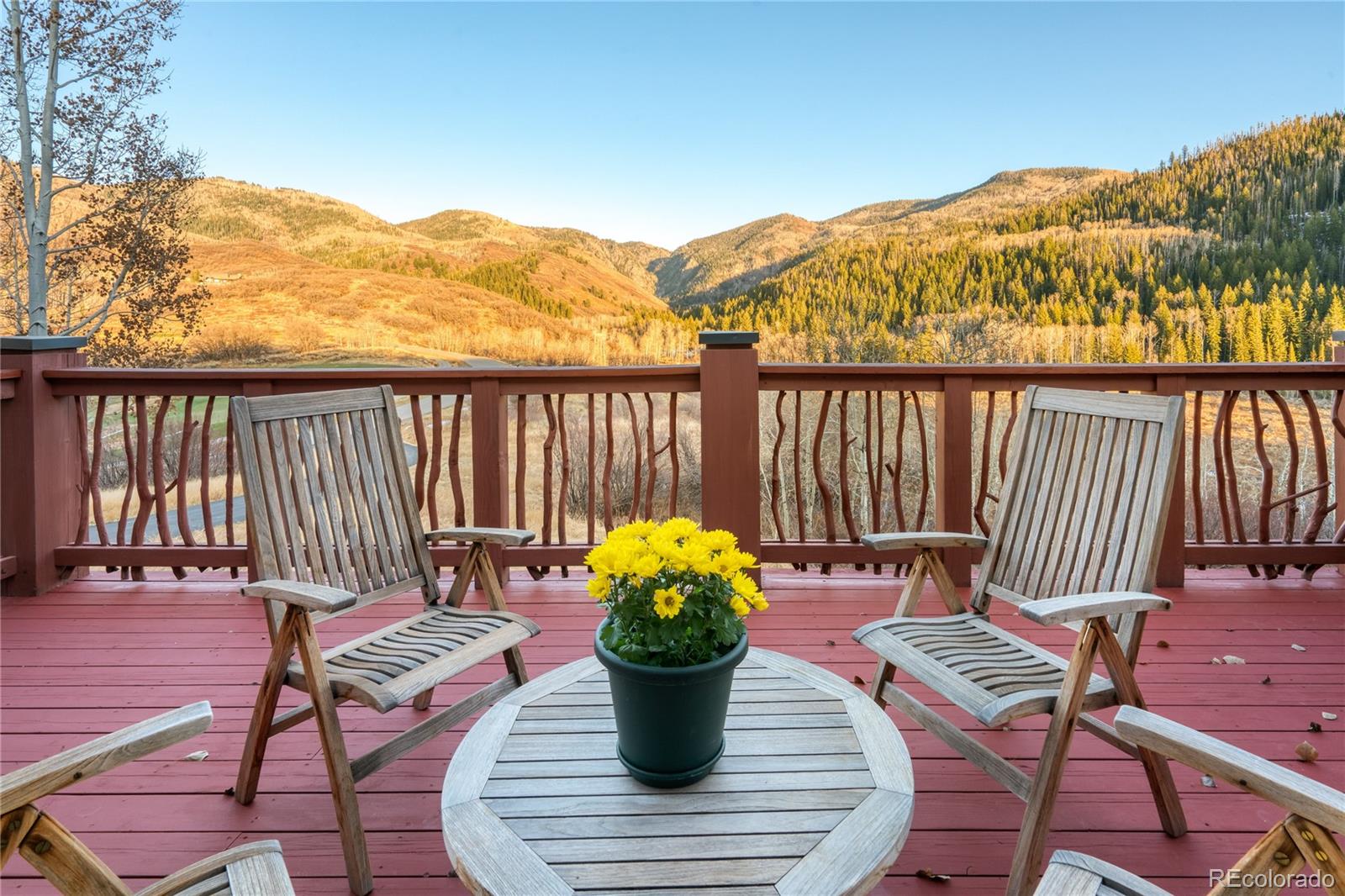 MLS Image #7 for 33855  canyon court,steamboat springs, Colorado