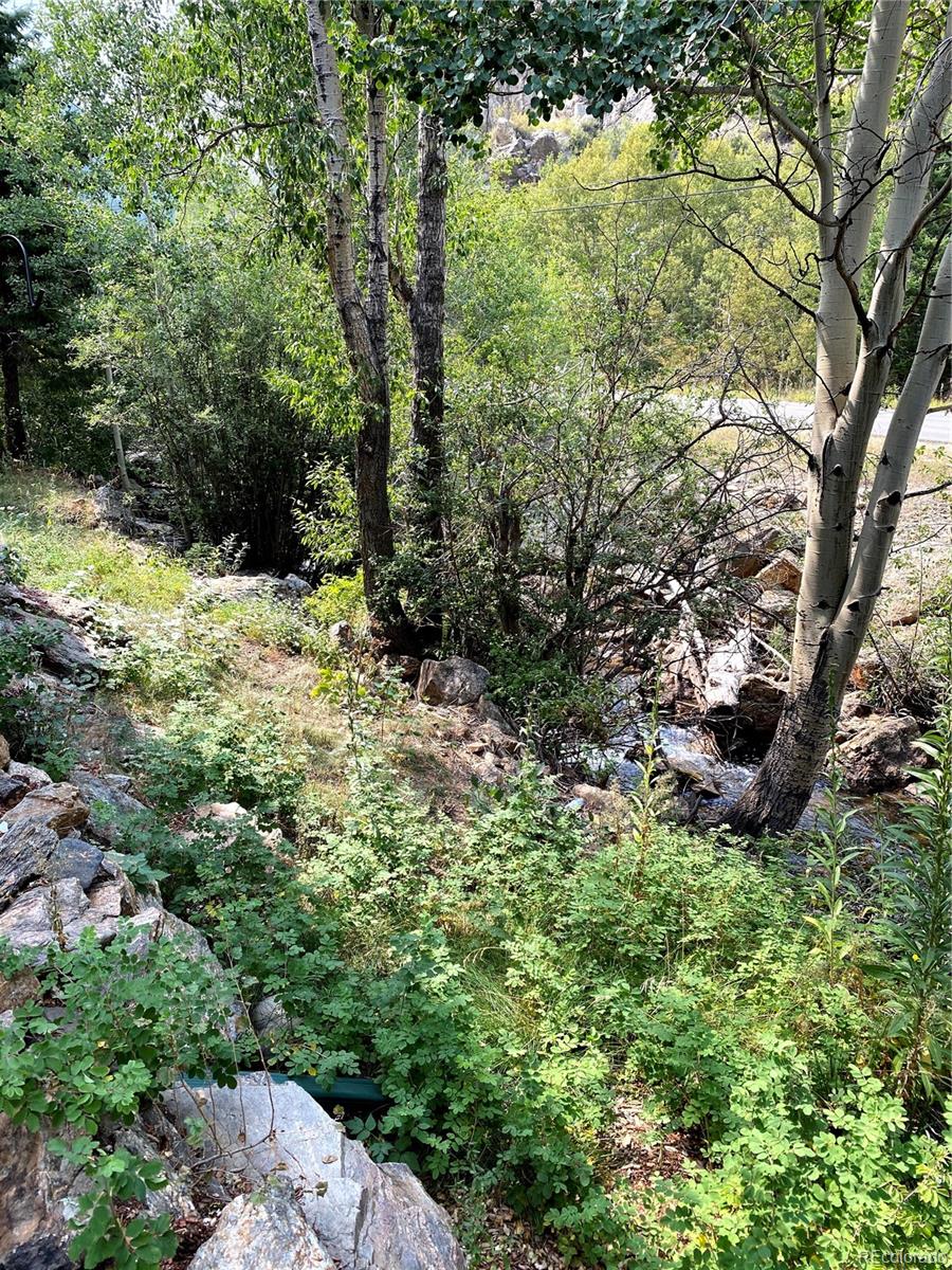 MLS Image #4 for 4825  chicago creek road,idaho springs, Colorado