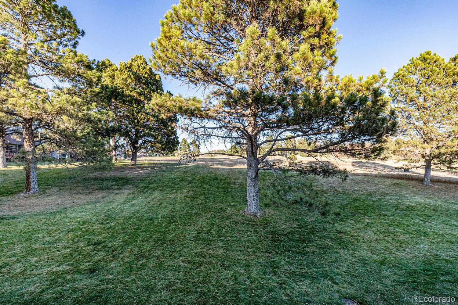 MLS Image #19 for 6484  pinewood drive,parker, Colorado