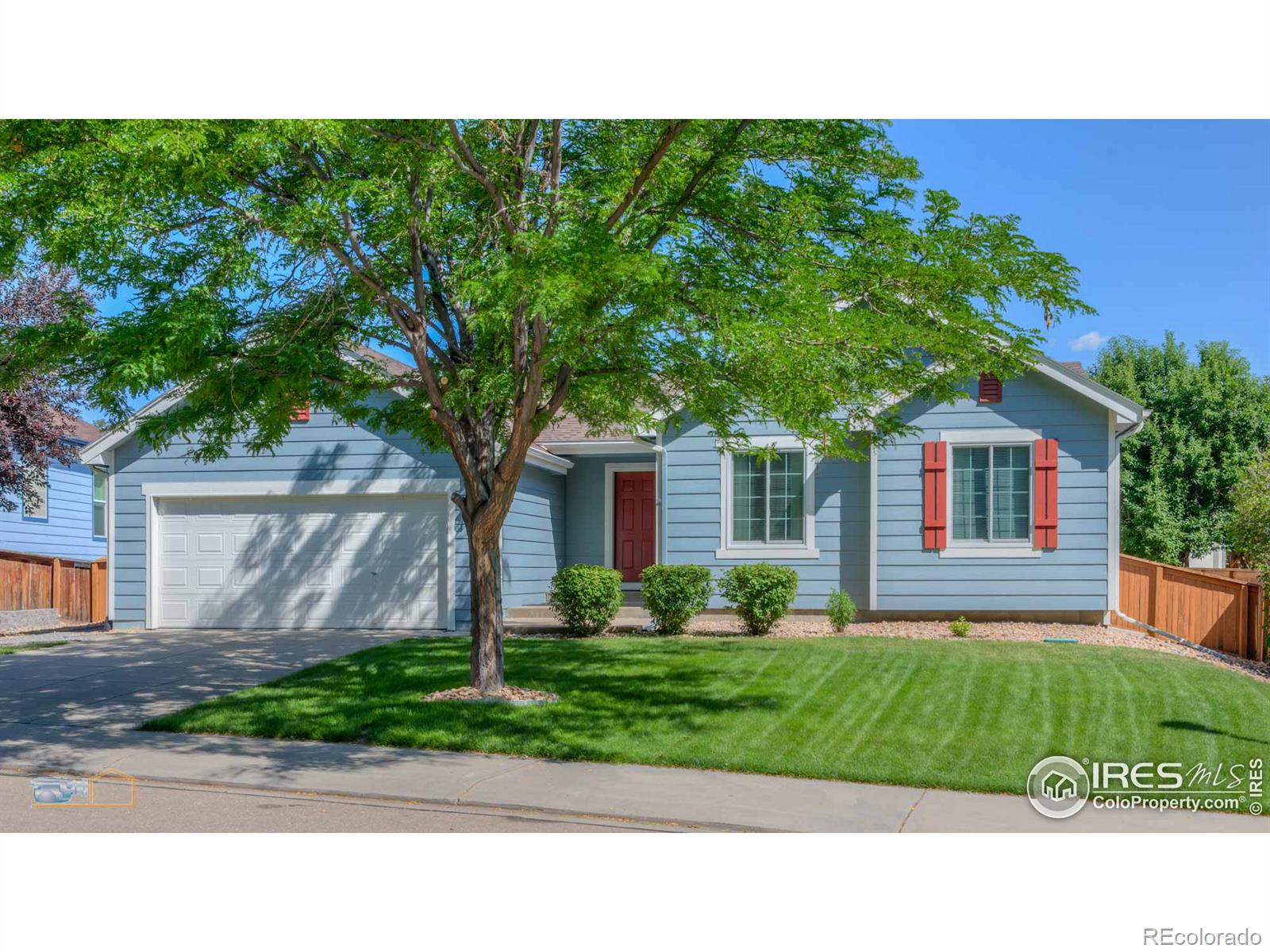 MLS Image #0 for 736  hallmark lane,longmont, Colorado