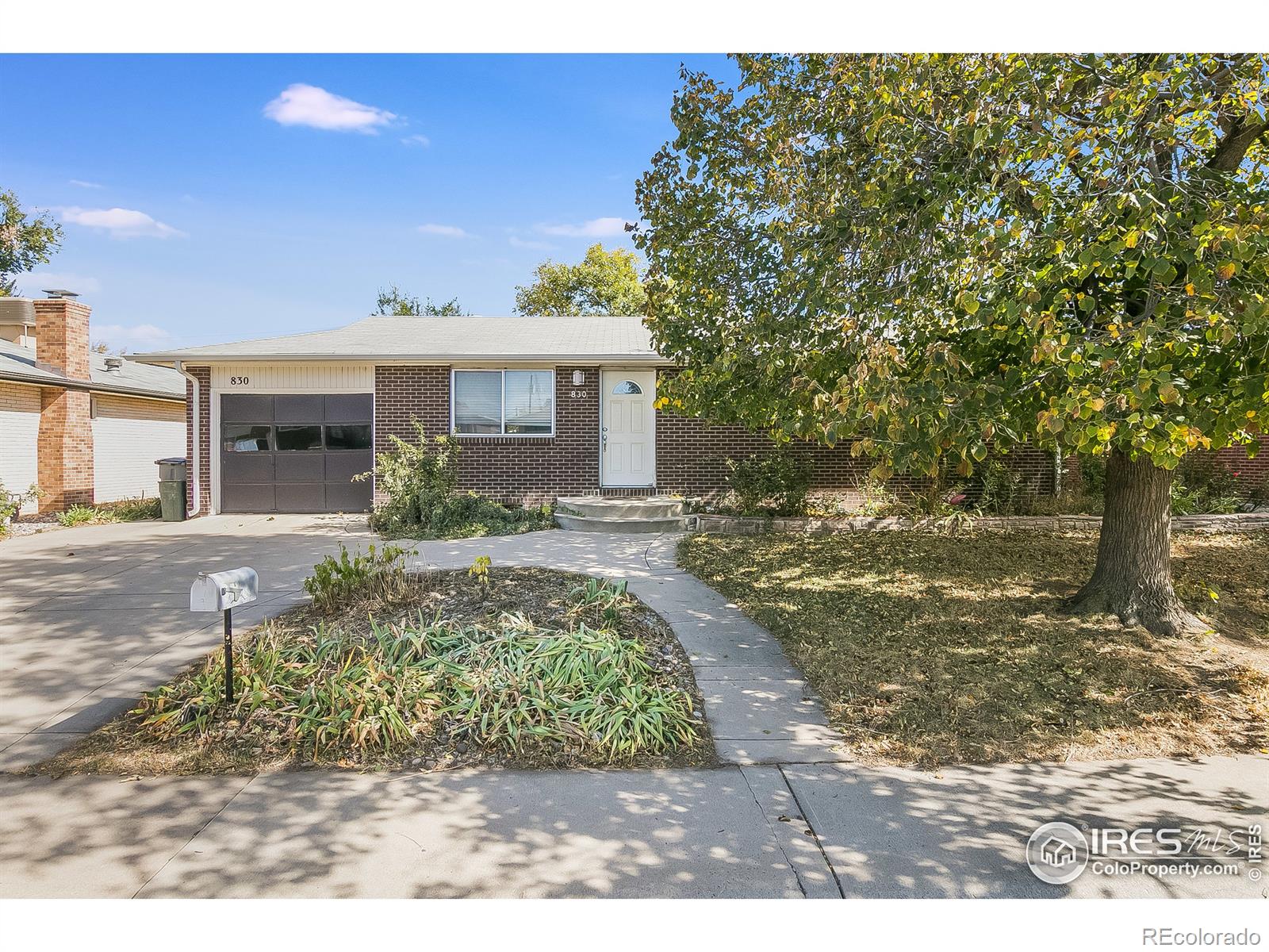 MLS Image #0 for 830  busch street,longmont, Colorado