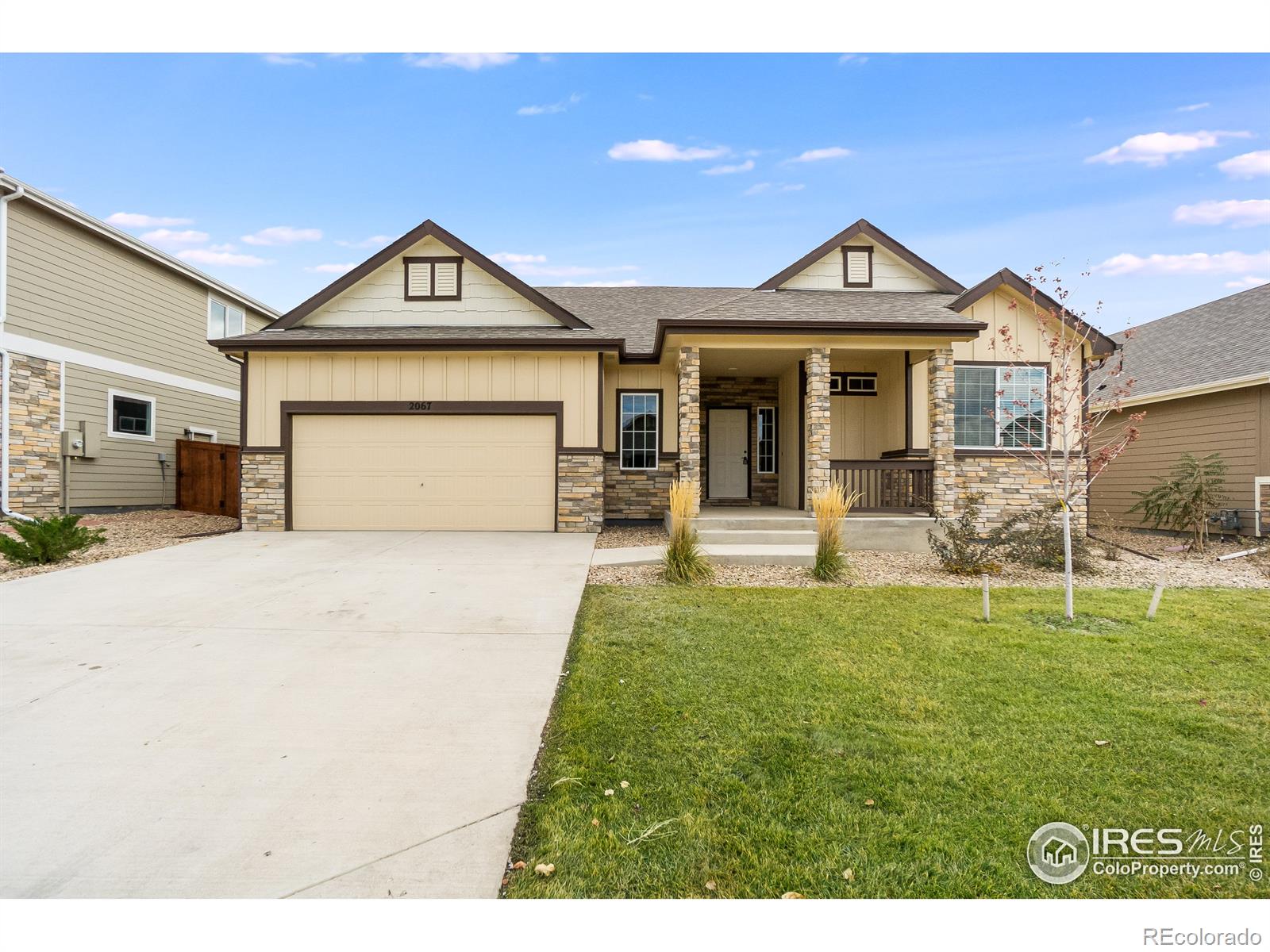 MLS Image #0 for 2067  orchard bloom drive,windsor, Colorado