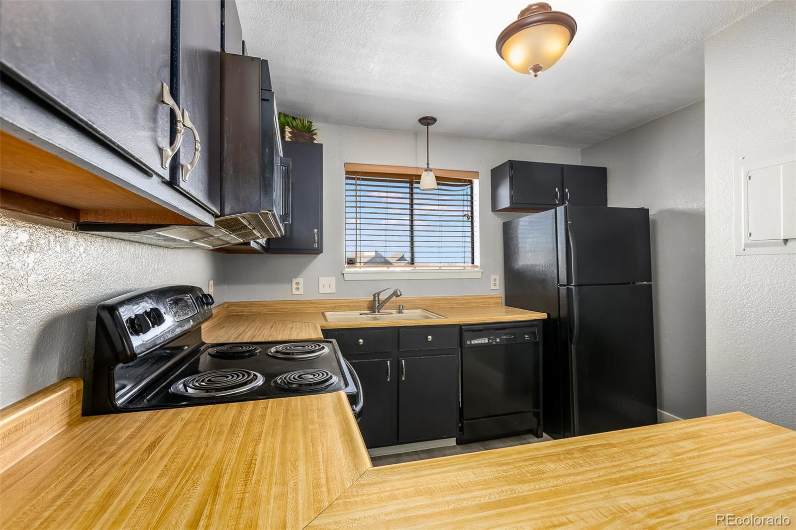 MLS Image #13 for 8657  clay street,westminster, Colorado