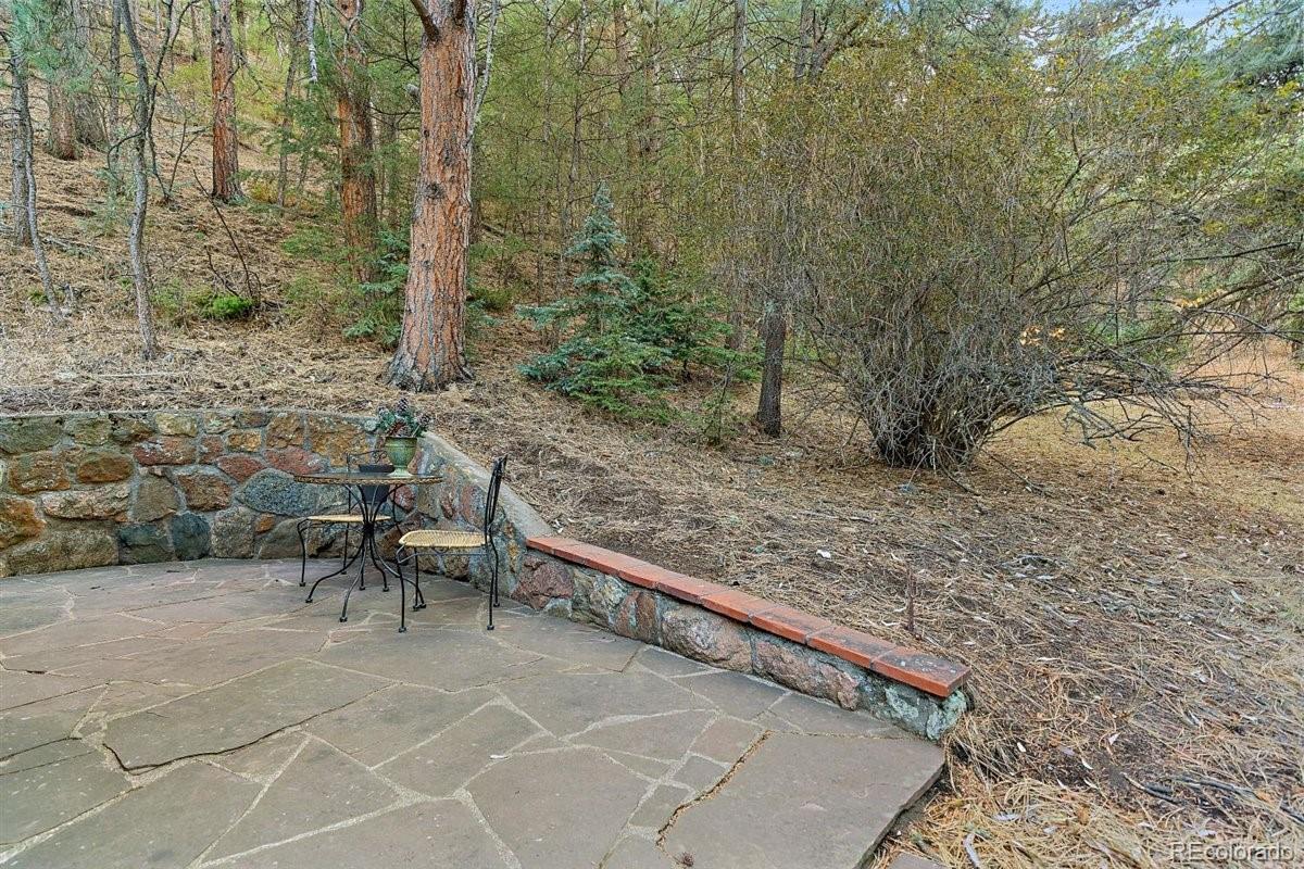 MLS Image #23 for 27646  troublesome gulch road,evergreen, Colorado