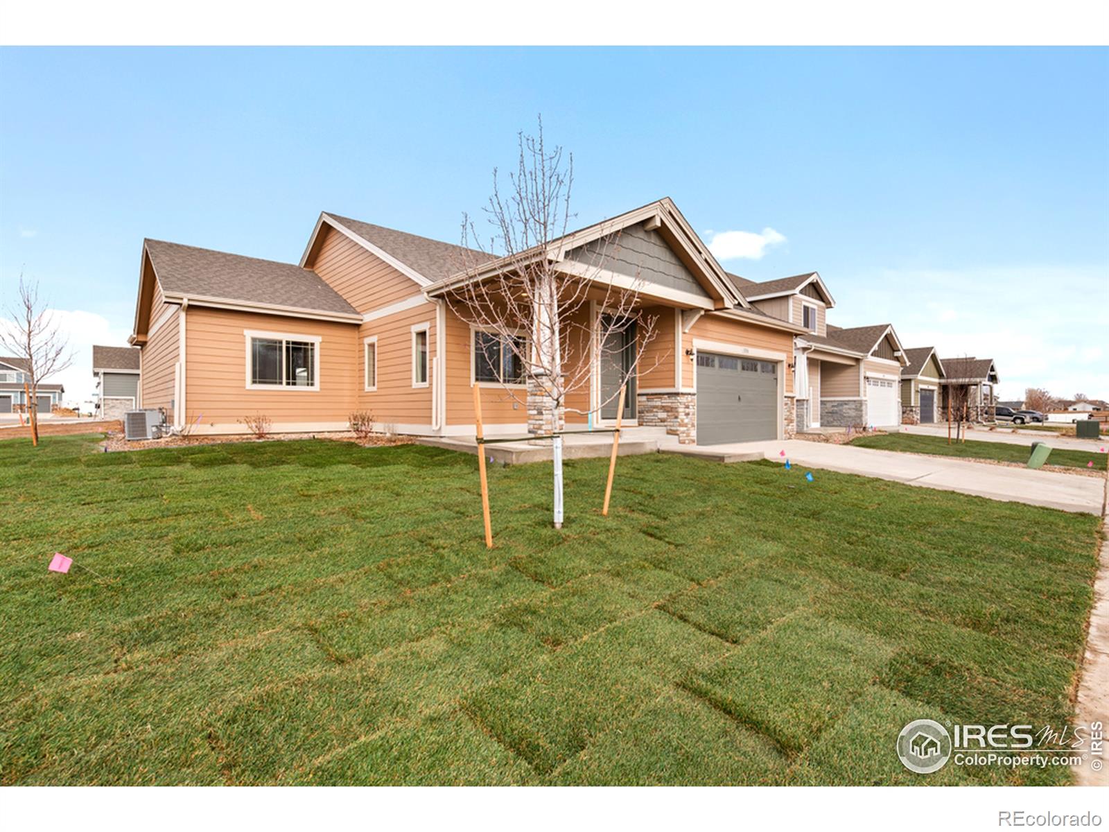 MLS Image #0 for 1036  grand avenue,windsor, Colorado