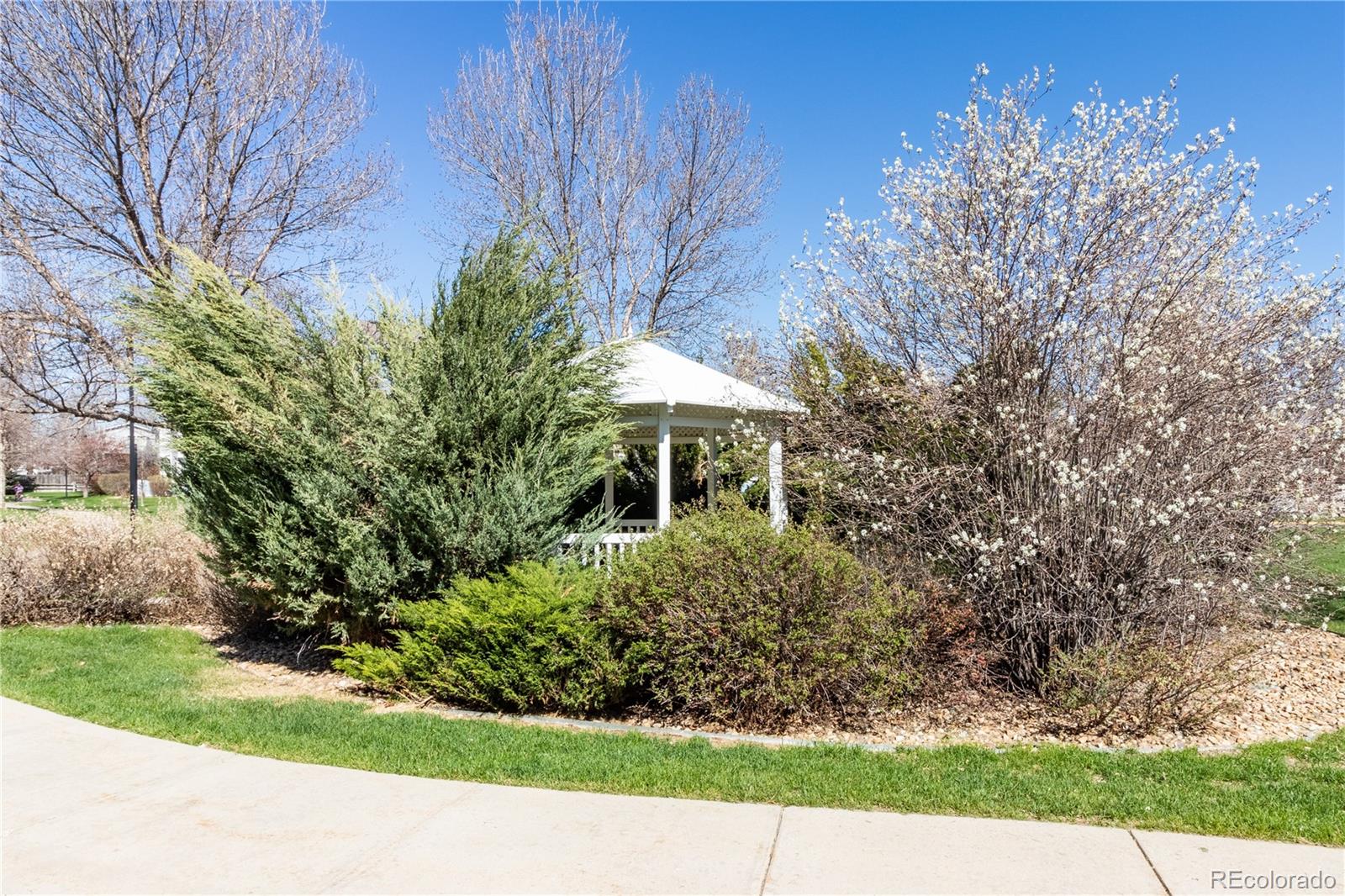 MLS Image #15 for 1419  red mountain drive,longmont, Colorado