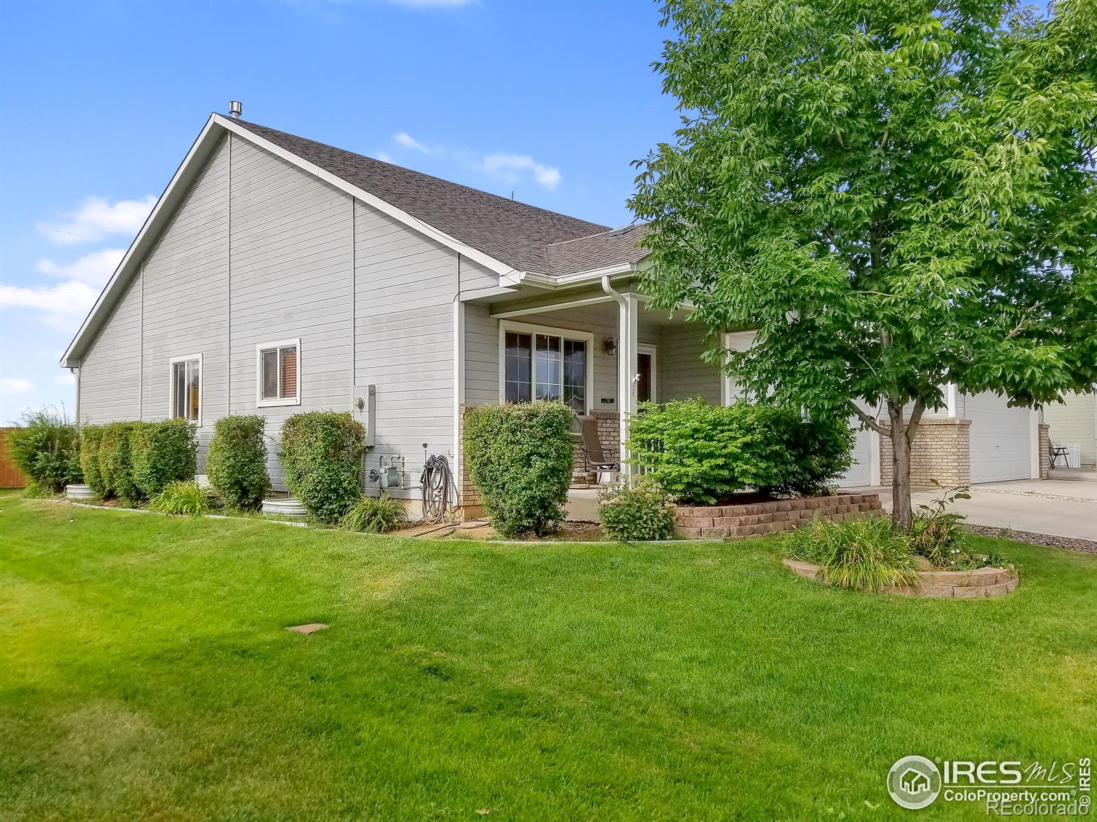 MLS Image #0 for 1724  canary place,loveland, Colorado