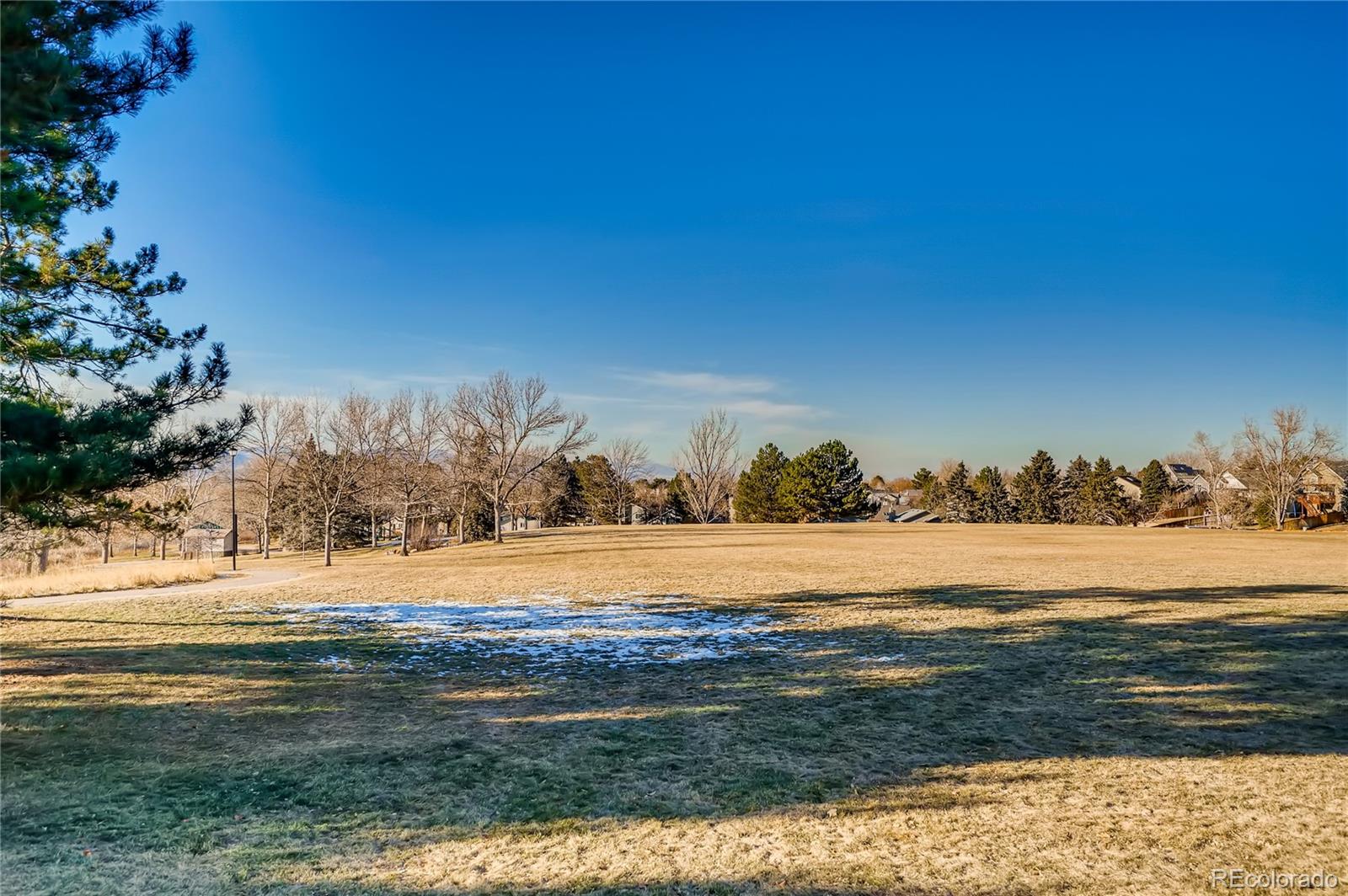 MLS Image #25 for 753  wedgewood court,highlands ranch, Colorado