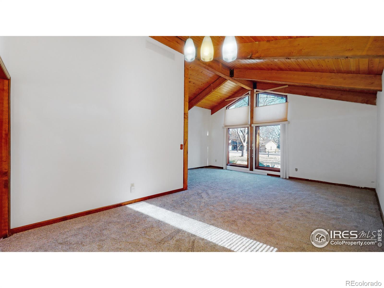 MLS Image #13 for 4709  regency drive,fort collins, Colorado