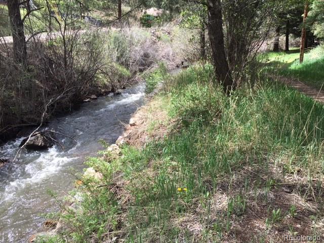 MLS Image #9 for 15820 s elk creek road,pine, Colorado