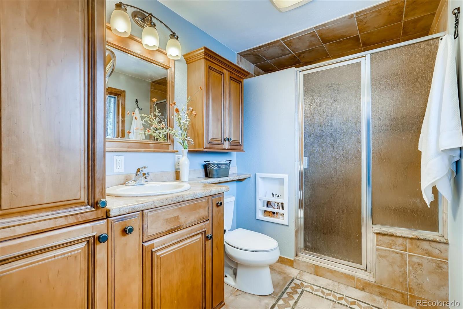 MLS Image #19 for 696  altair drive,littleton, Colorado