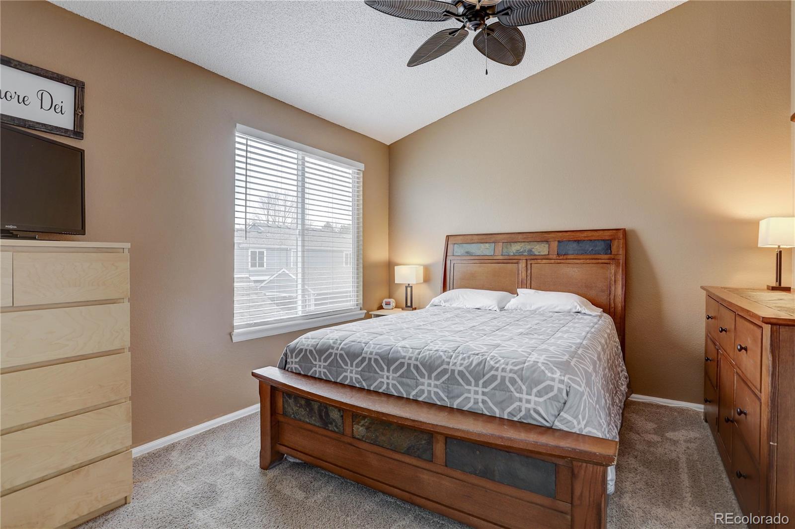MLS Image #16 for 953  summer drive ,highlands ranch, Colorado