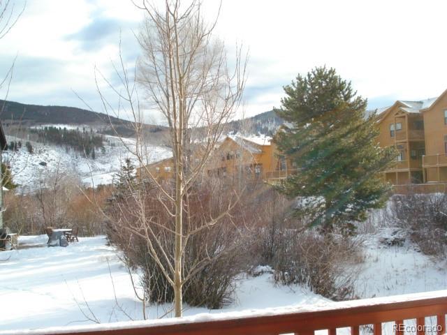 MLS Image #28 for 116  creek lane,silverthorne, Colorado