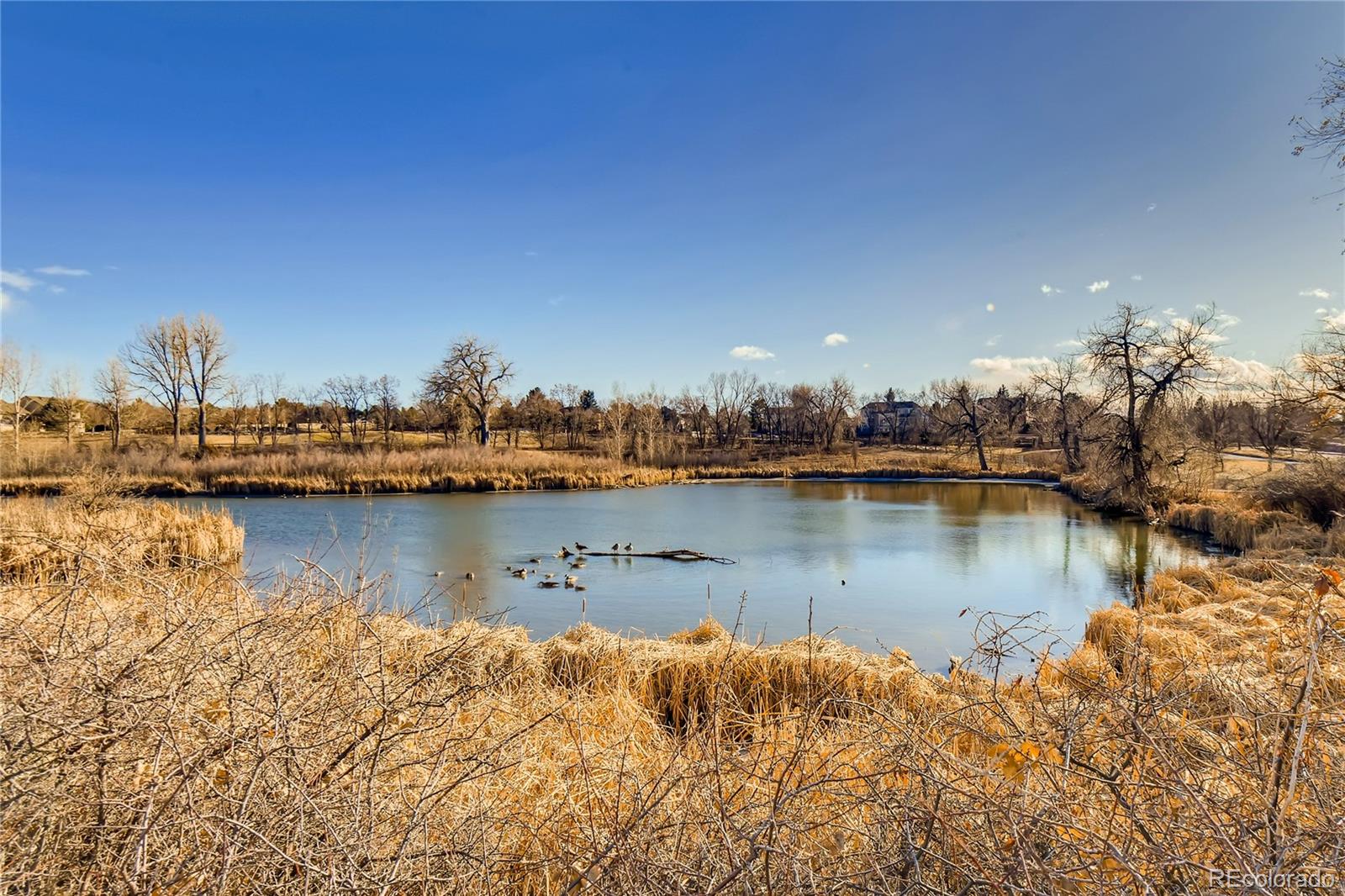 MLS Image #35 for 4280 w 107th drive,westminster, Colorado