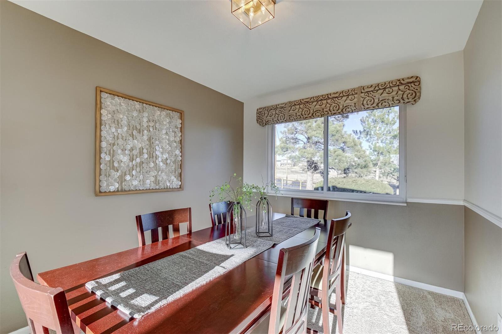 MLS Image #11 for 11244 n thrush drive,parker, Colorado