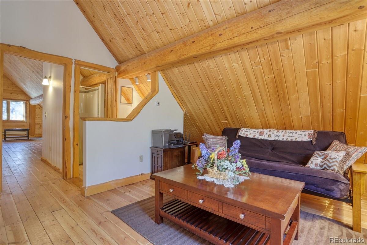 MLS Image #13 for 4013  county rd 102 ,guffey, Colorado