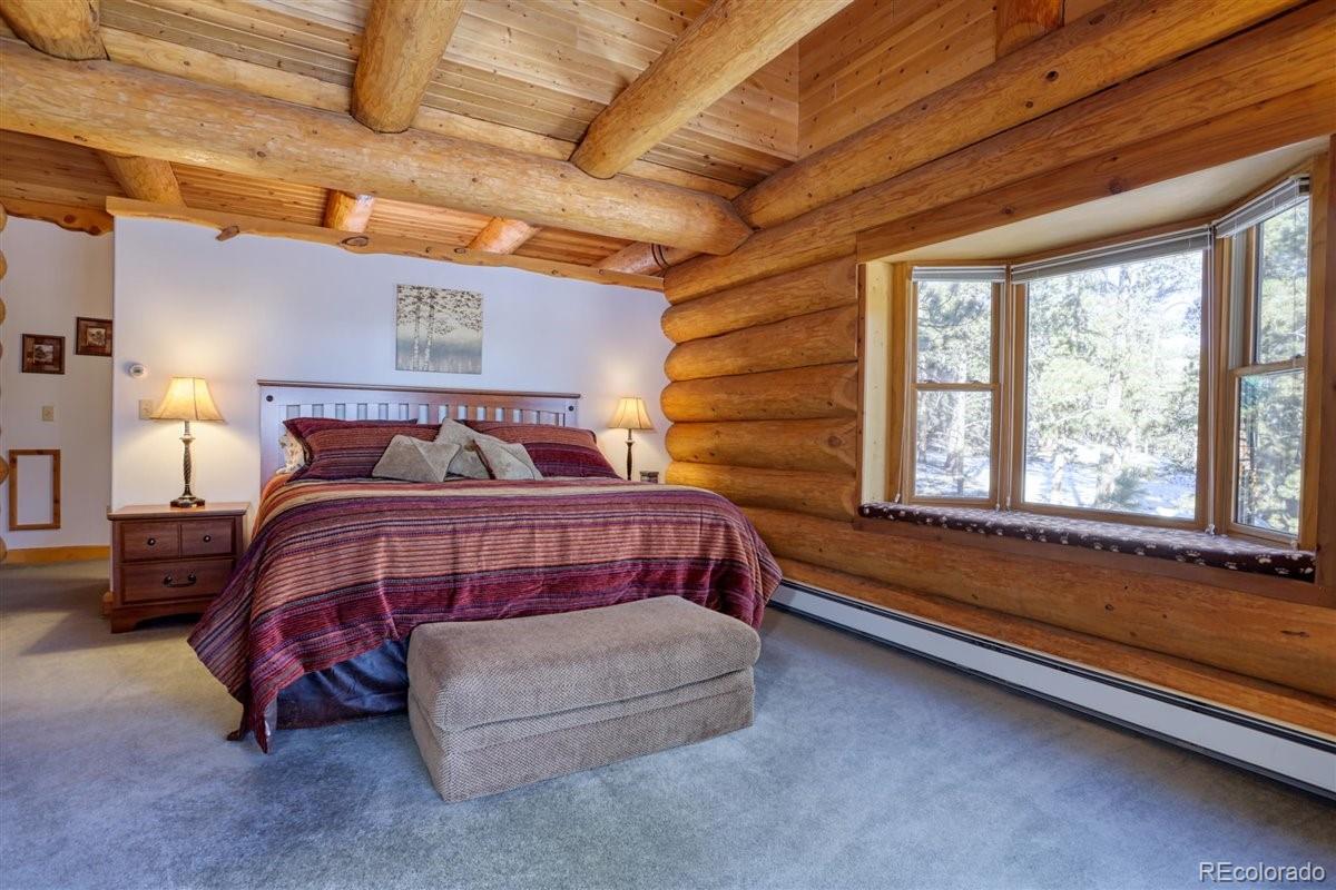 MLS Image #18 for 4013  county rd 102 ,guffey, Colorado