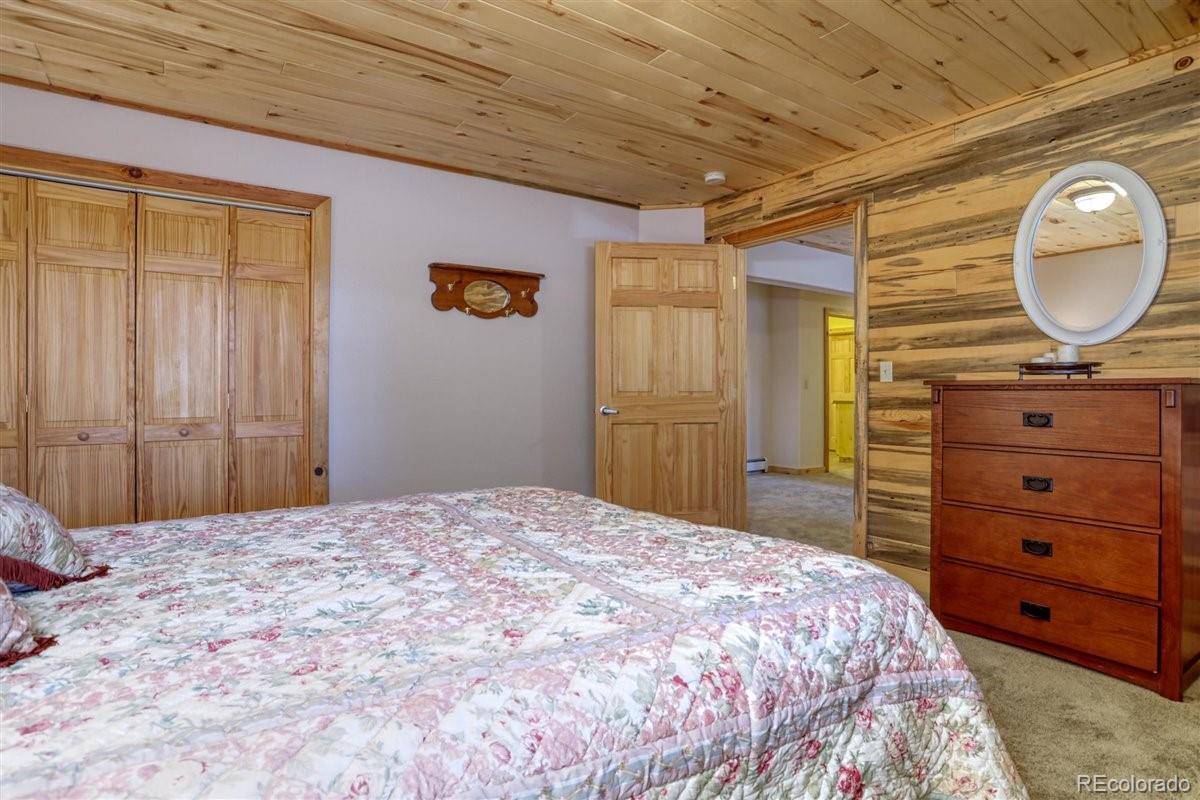 MLS Image #19 for 4013  county rd 102 ,guffey, Colorado