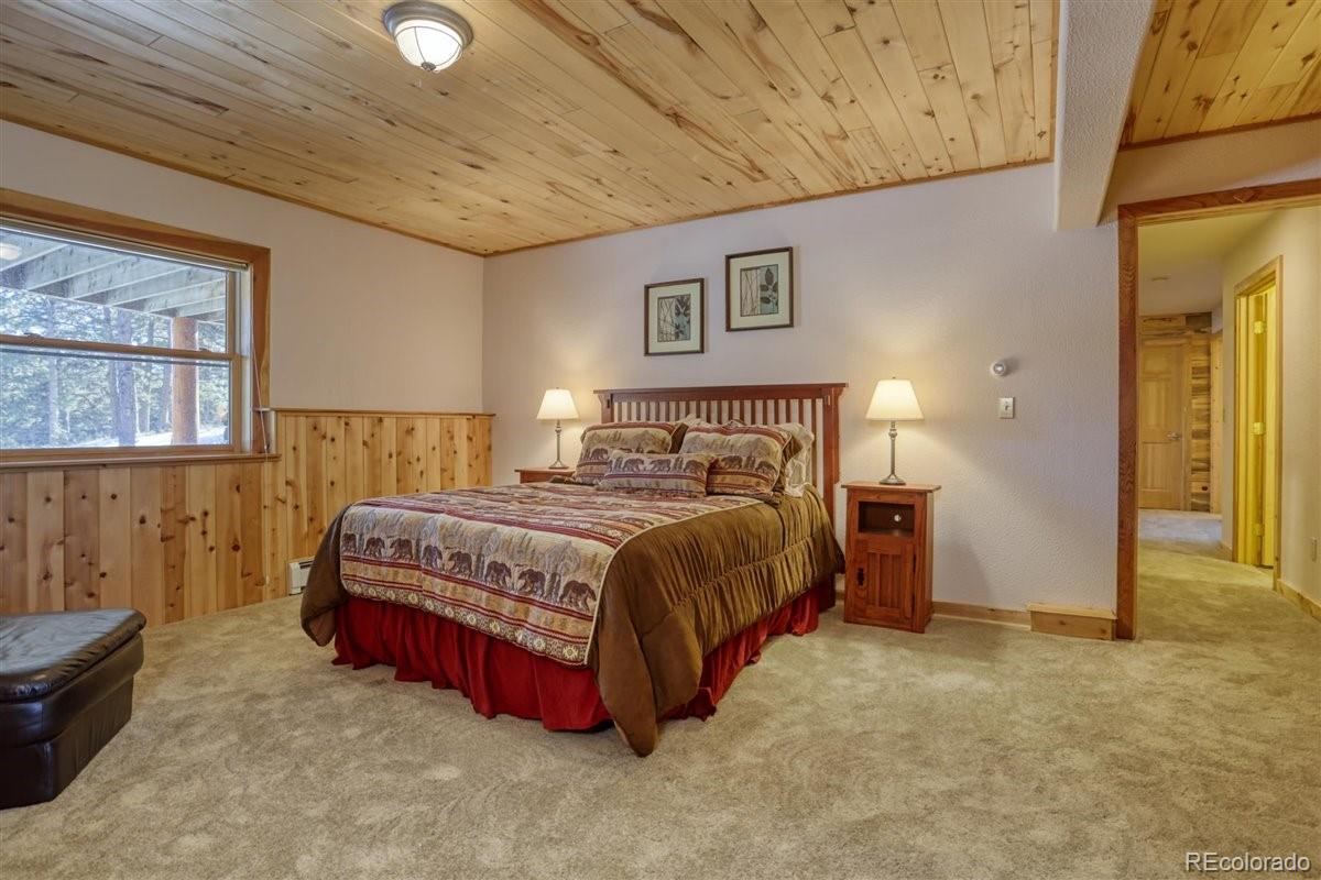 MLS Image #20 for 4013  county rd 102 ,guffey, Colorado