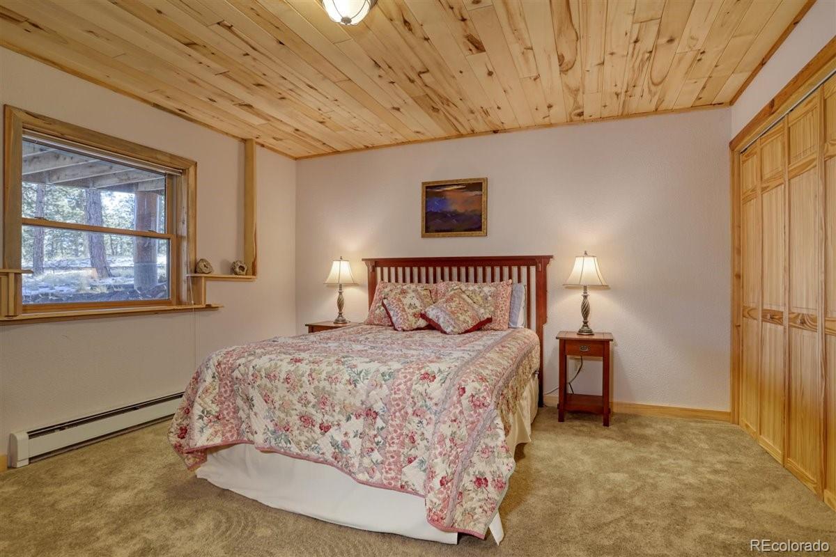MLS Image #21 for 4013  county rd 102 ,guffey, Colorado