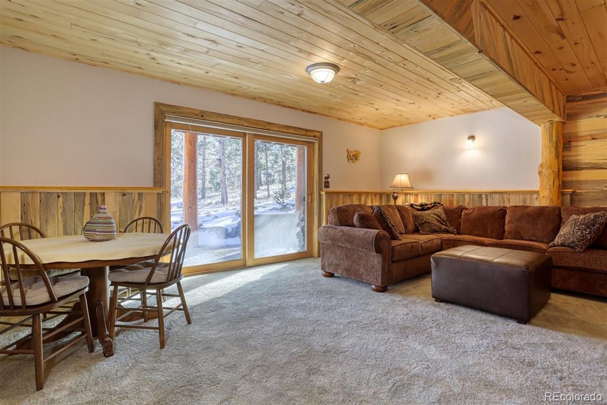 MLS Image #22 for 4013  county rd 102 ,guffey, Colorado