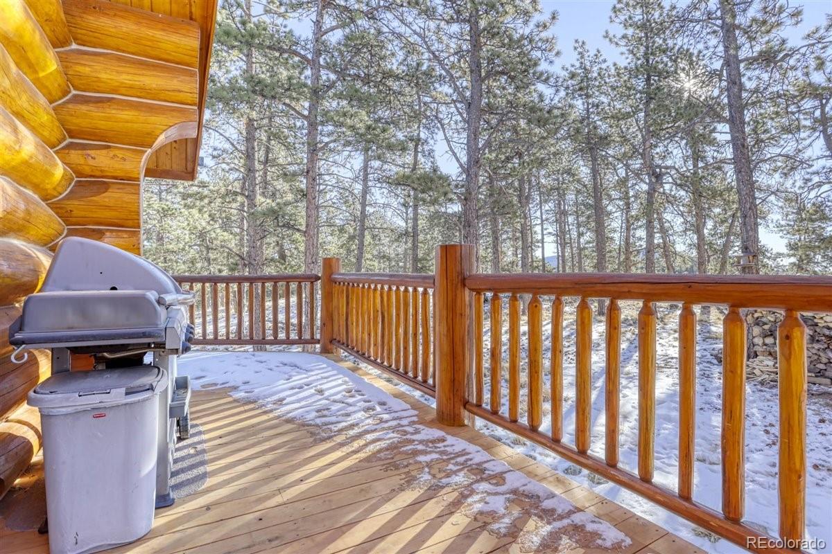 MLS Image #31 for 4013  county rd 102 ,guffey, Colorado