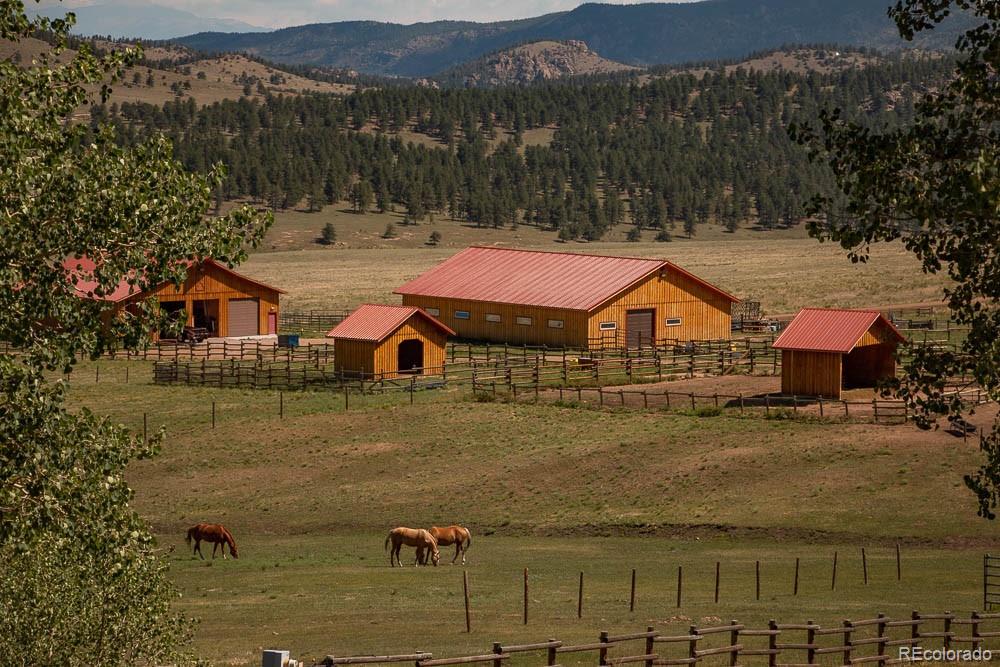 MLS Image #1 for 200  eagle springs road,westcliffe, Colorado