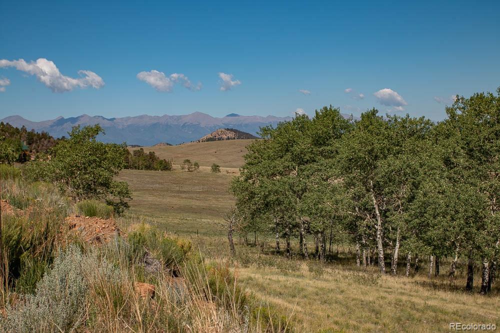 MLS Image #24 for 200  eagle springs road,westcliffe, Colorado