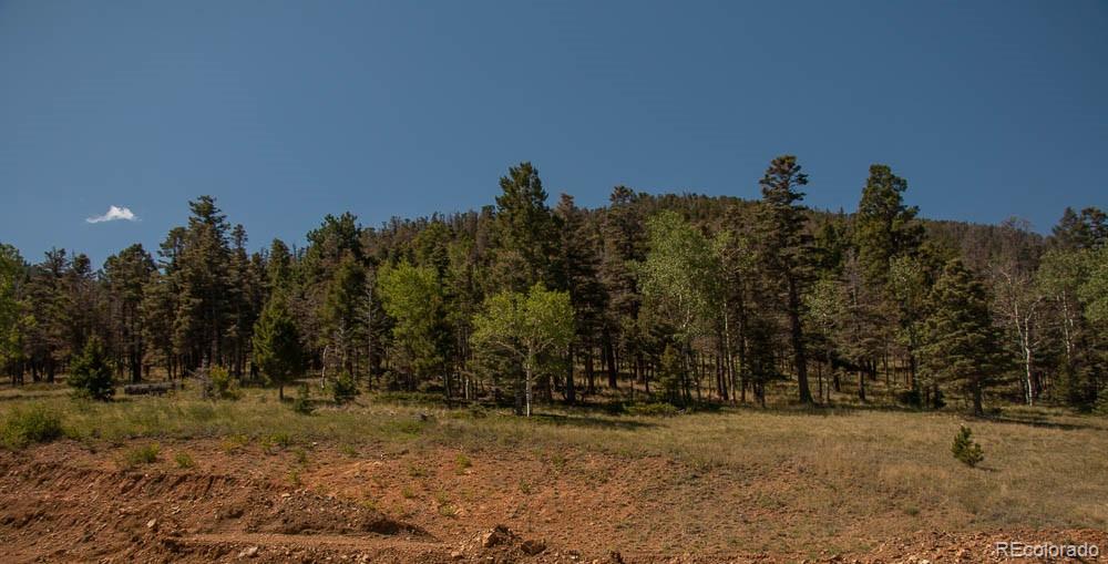 MLS Image #26 for 200  eagle springs road,westcliffe, Colorado