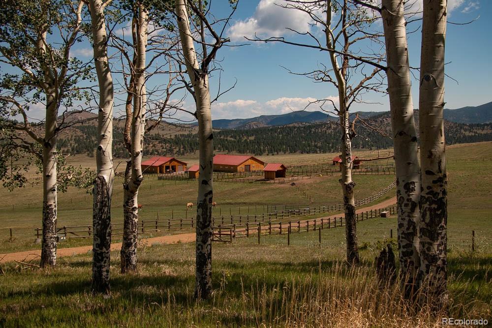 MLS Image #28 for 200  eagle springs road,westcliffe, Colorado