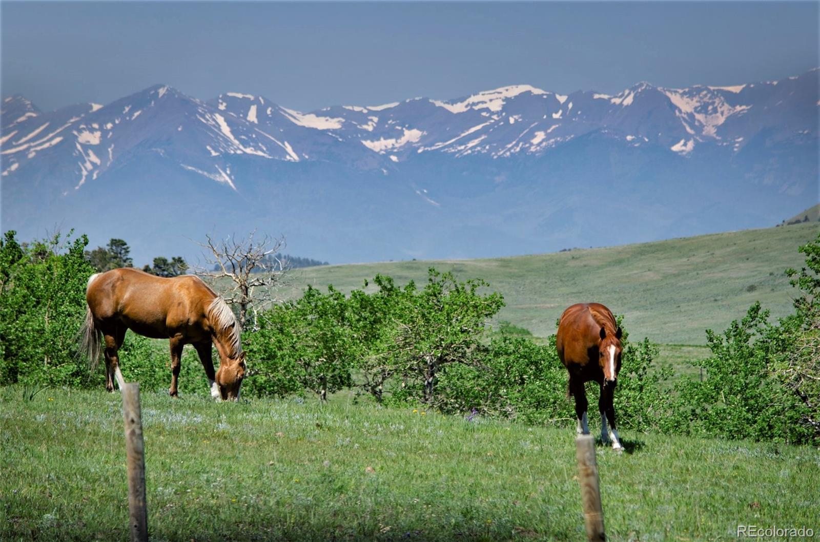 MLS Image #36 for 200  eagle springs road,westcliffe, Colorado