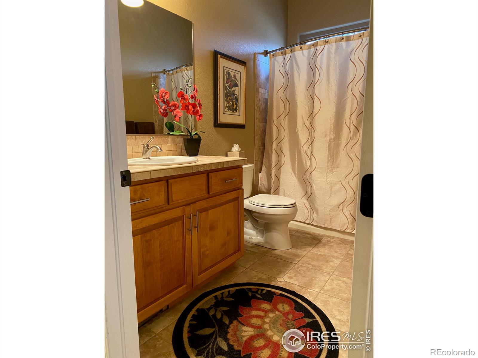 MLS Image #25 for 4609  freehold drive,windsor, Colorado