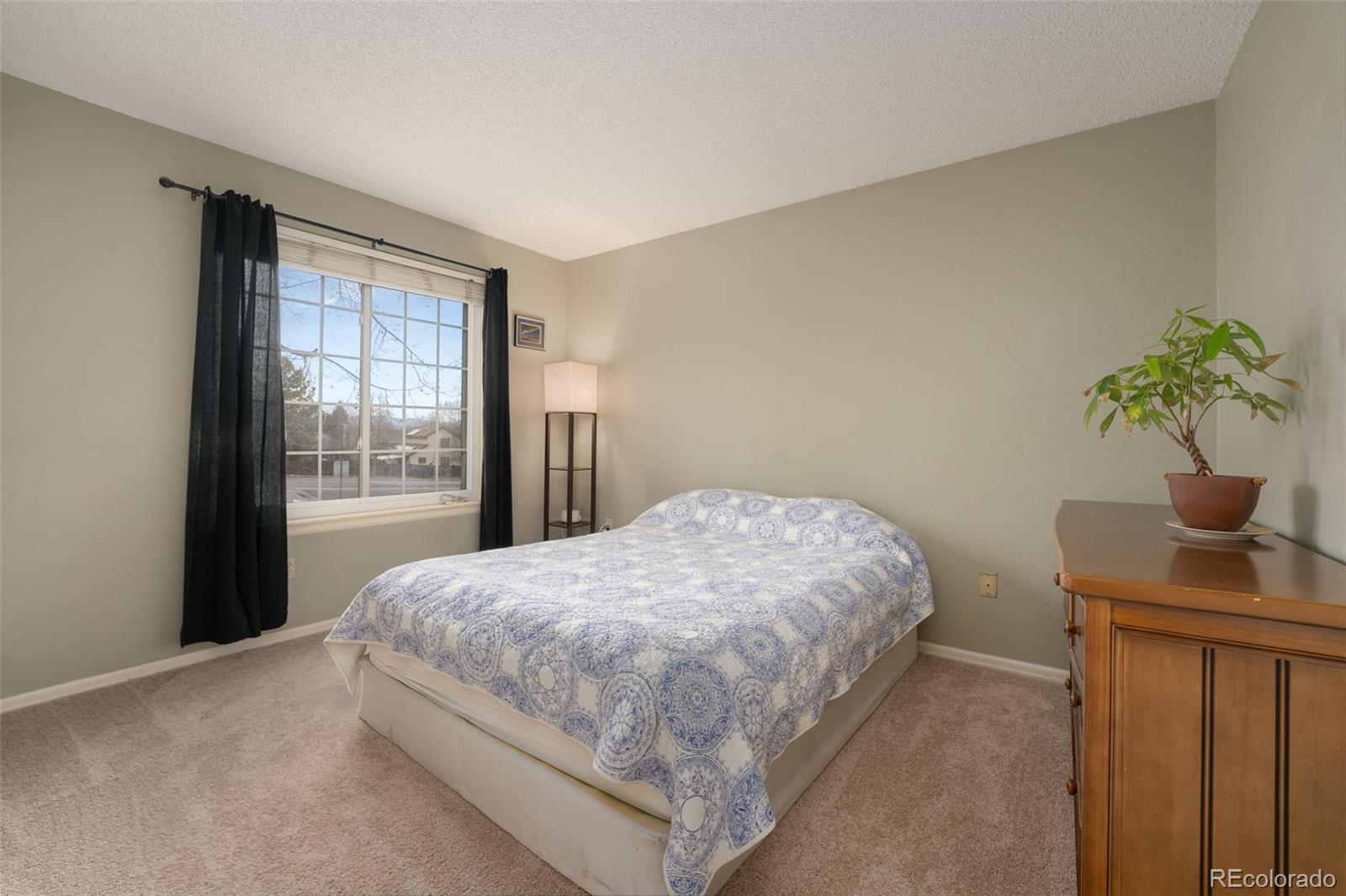 MLS Image #12 for 9312  balsam court,highlands ranch, Colorado