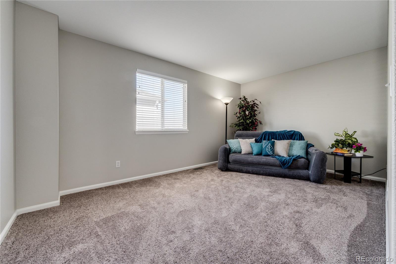 MLS Image #19 for 10462  hyacinth street,highlands ranch, Colorado