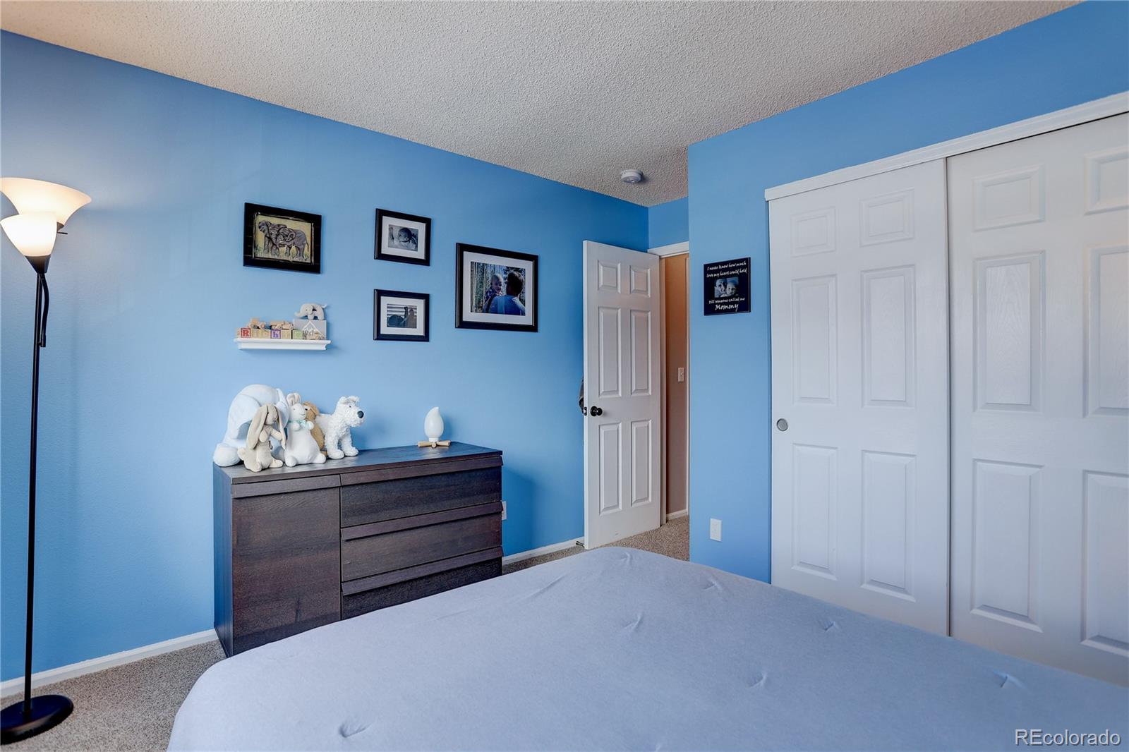 MLS Image #17 for 9630  whitecliff place,highlands ranch, Colorado