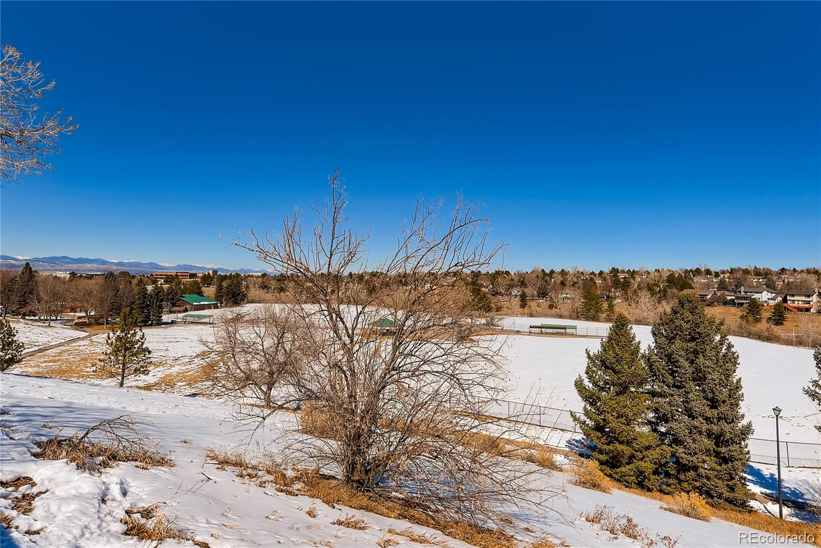 MLS Image #25 for 531  snowy owl place,highlands ranch, Colorado