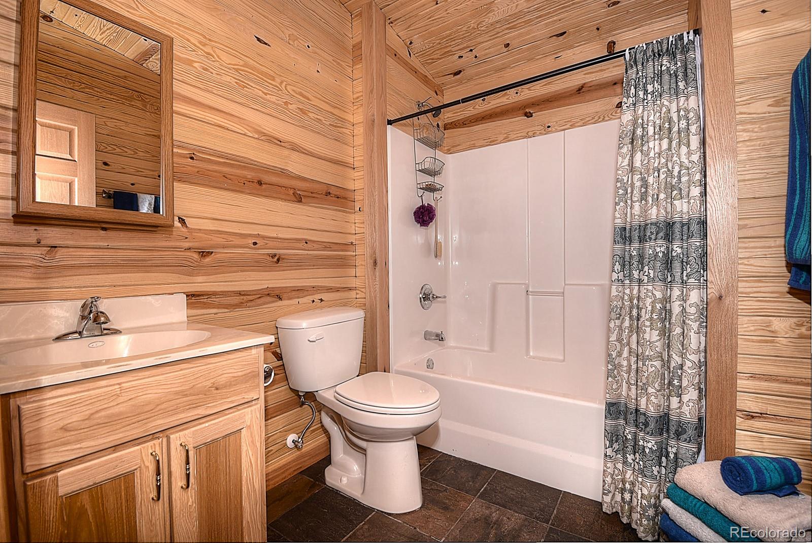 MLS Image #23 for 396  eagle nest trail,guffey, Colorado
