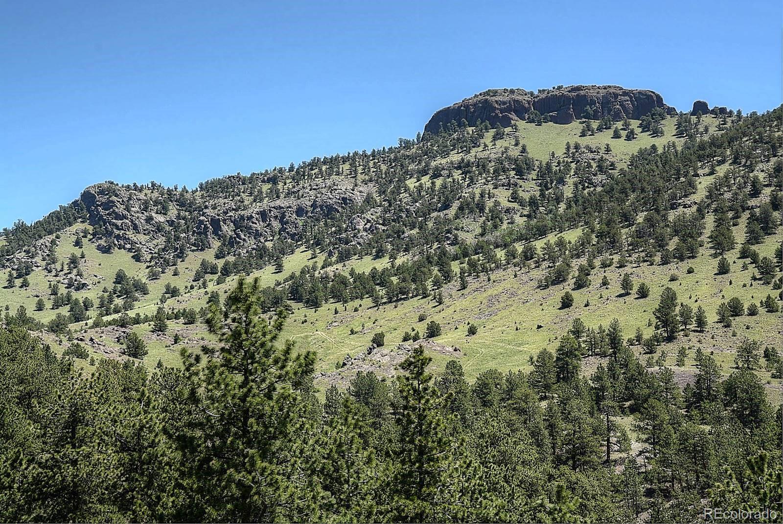 MLS Image #34 for 396  eagle nest trail,guffey, Colorado