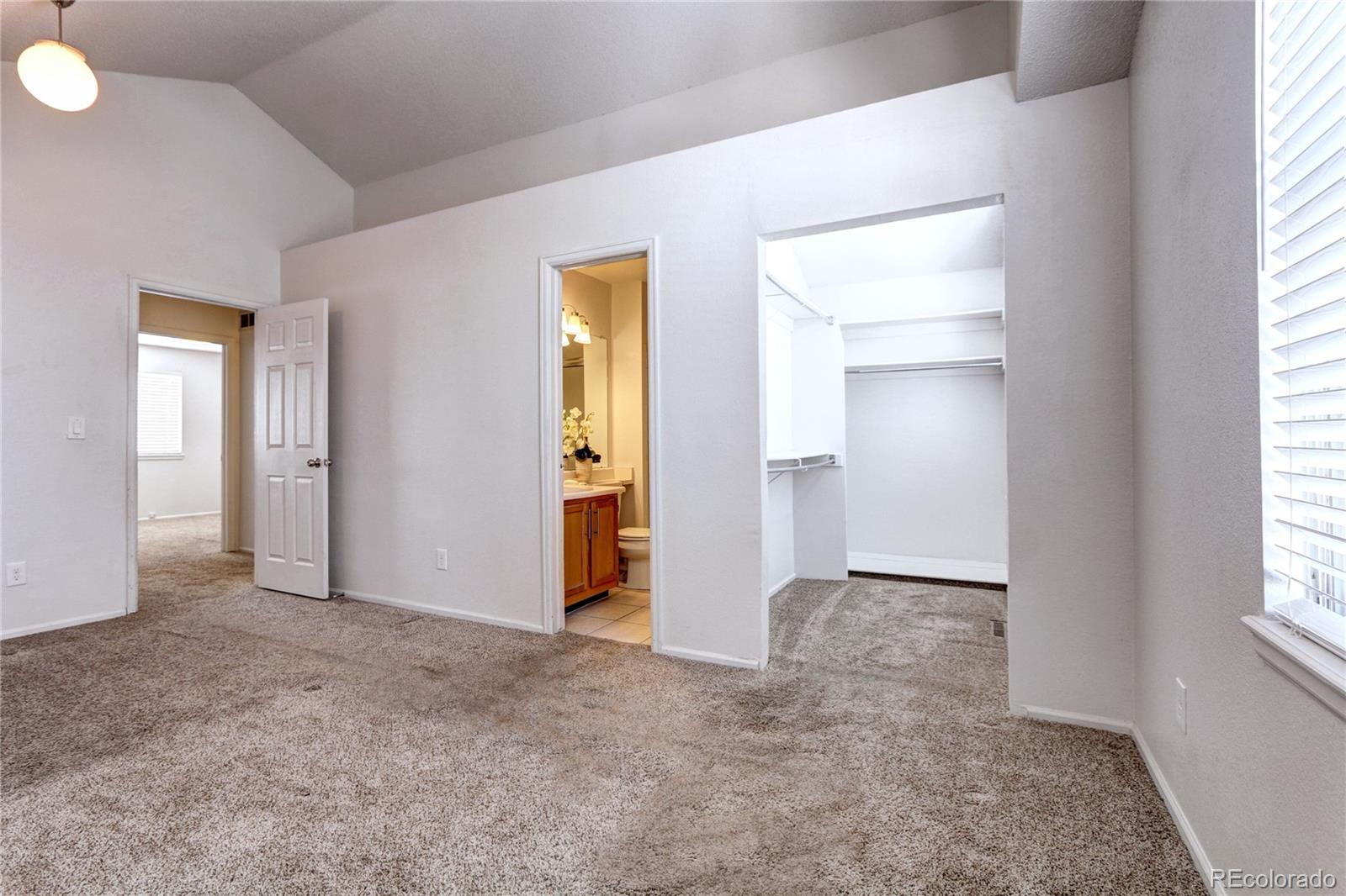 MLS Image #12 for 711  white cloud drive,highlands ranch, Colorado