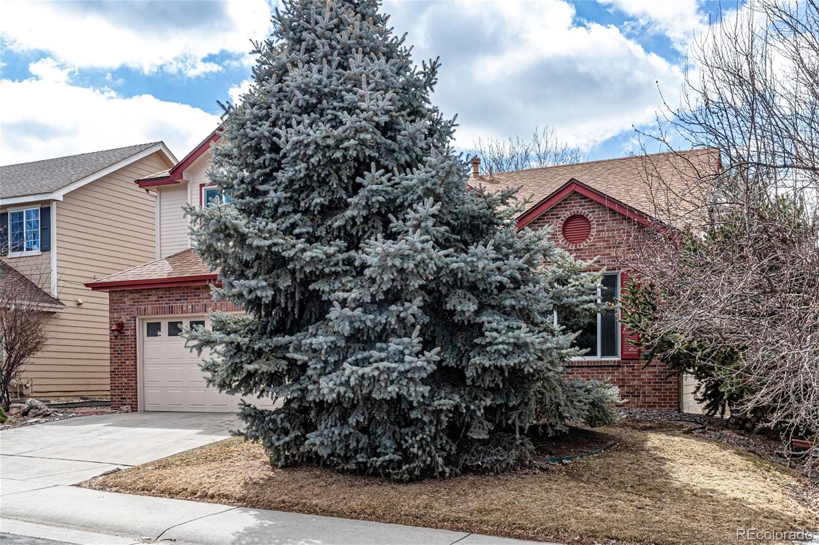 MLS Image #33 for 9909  spring hill drive,highlands ranch, Colorado