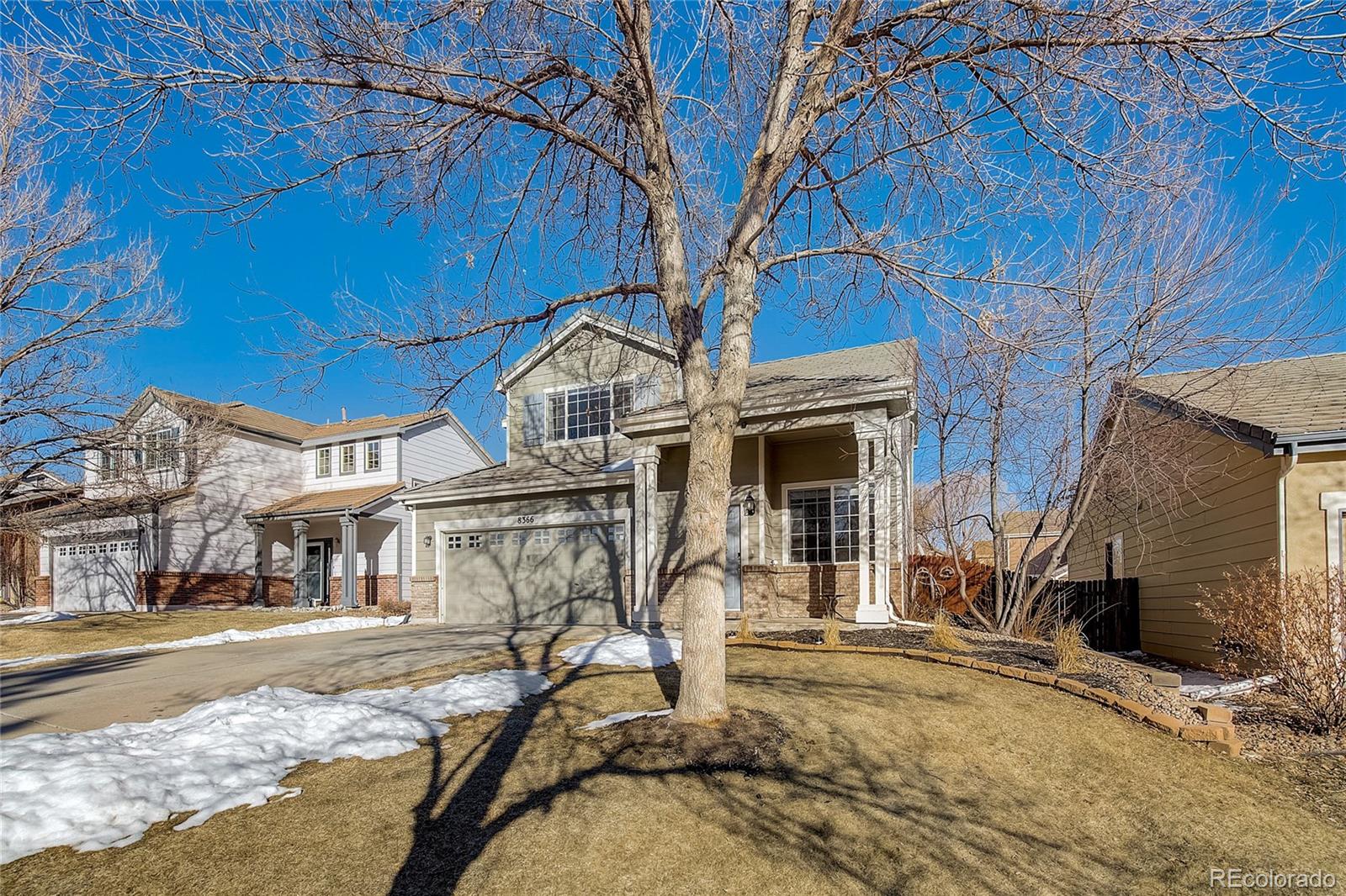 Report Image for 8366 S Reed Street,Littleton, Colorado
