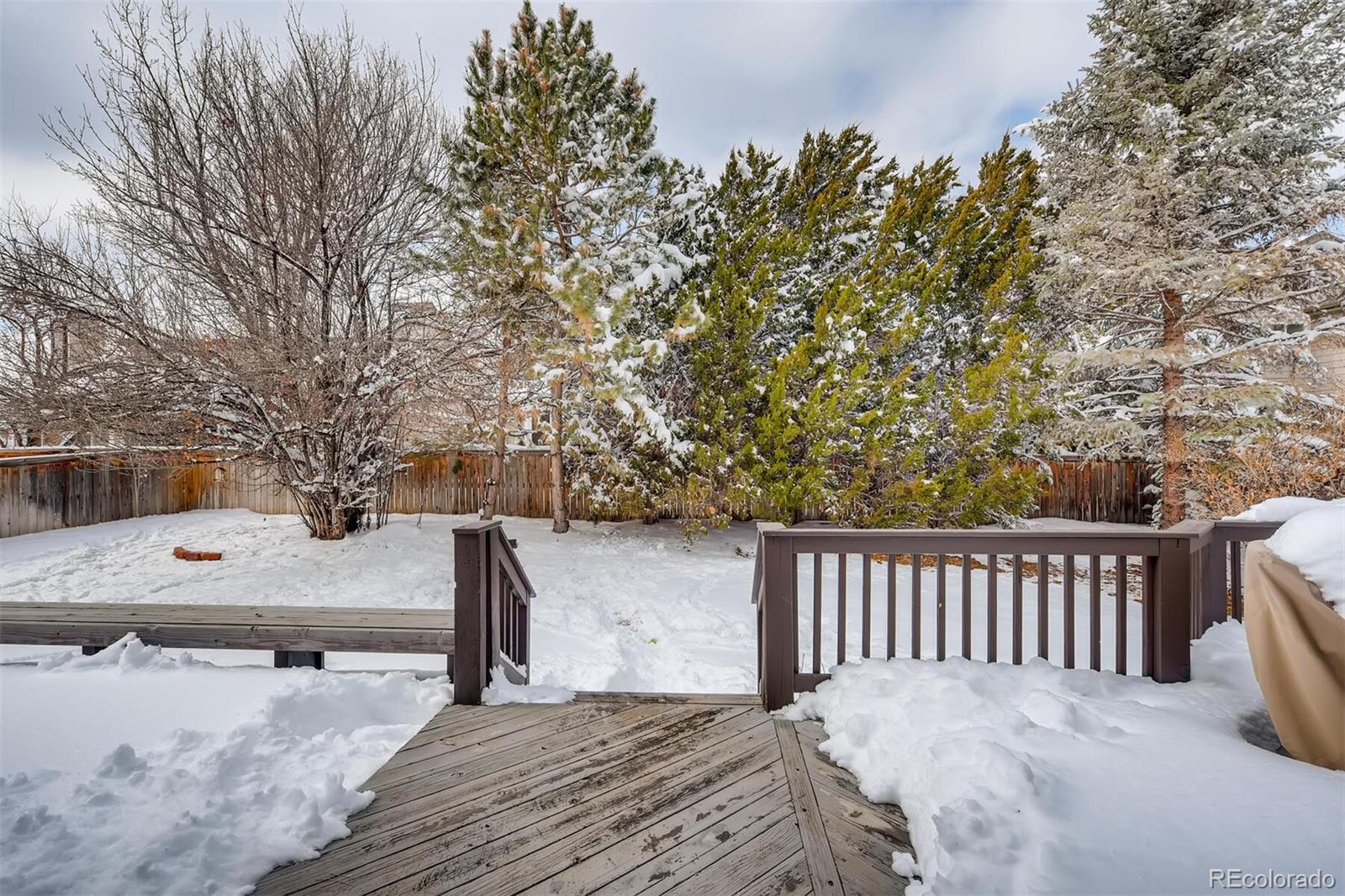 MLS Image #23 for 8931  silver court,highlands ranch, Colorado