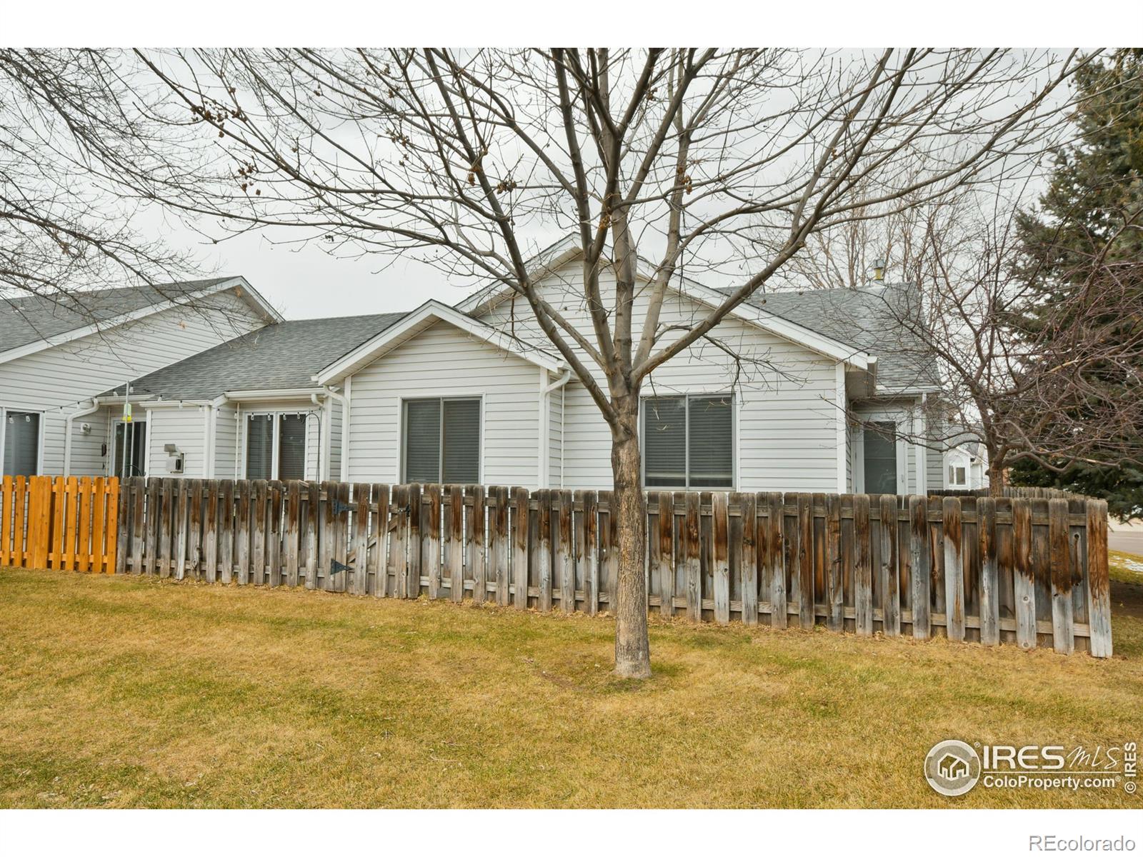 MLS Image #22 for 1136  wabash street,fort collins, Colorado